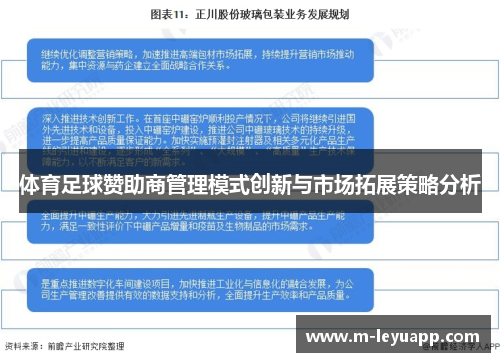 体育足球赞助商管理模式创新与市场拓展策略分析