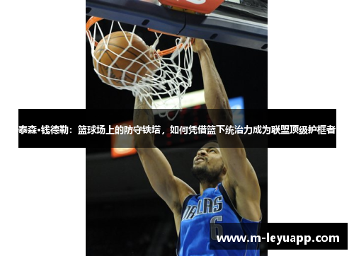 泰森·钱德勒：篮球场上的防守铁塔，如何凭借篮下统治力成为联盟顶级护框者