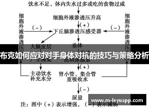 布克如何应对对手身体对抗的技巧与策略分析
