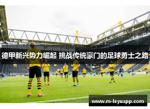 德甲新兴势力崛起 挑战传统豪门的足球勇士之路