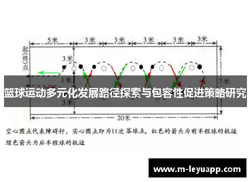 篮球运动多元化发展路径探索与包容性促进策略研究
