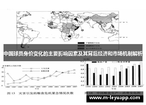 中国球员身价变化的主要影响因素及其背后经济和市场机制解析