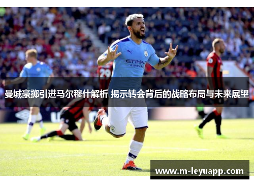 曼城豪掷引进马尔穆什解析 揭示转会背后的战略布局与未来展望