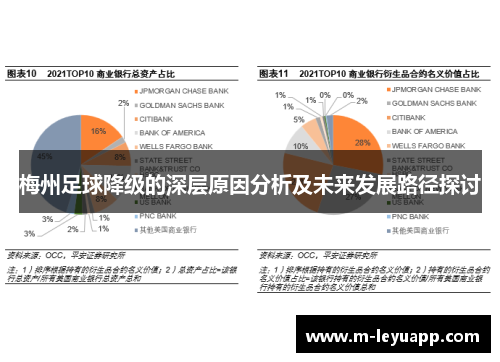 梅州足球降级的深层原因分析及未来发展路径探讨