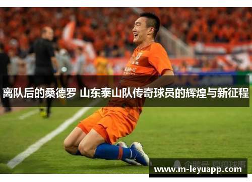 离队后的桑德罗 山东泰山队传奇球员的辉煌与新征程