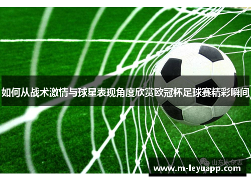 如何从战术激情与球星表现角度欣赏欧冠杯足球赛精彩瞬间